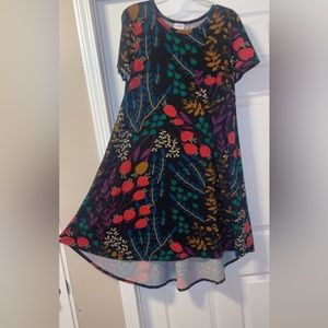LulaRoe Carly Dress